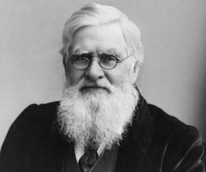 alfred-russel-wallace-1