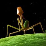 1449684423_617874_1449684661_noticia_normal