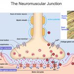 31ef36d4c05a44fdb861a337899b39c3