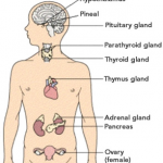 ec3453cb-1287-4395-8aef-29c69ee95257